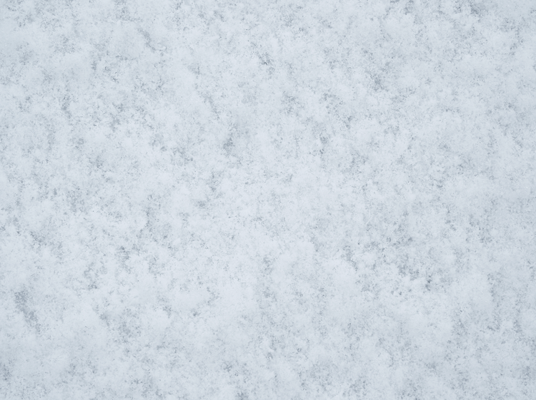 Les essentiels de l'hiver
